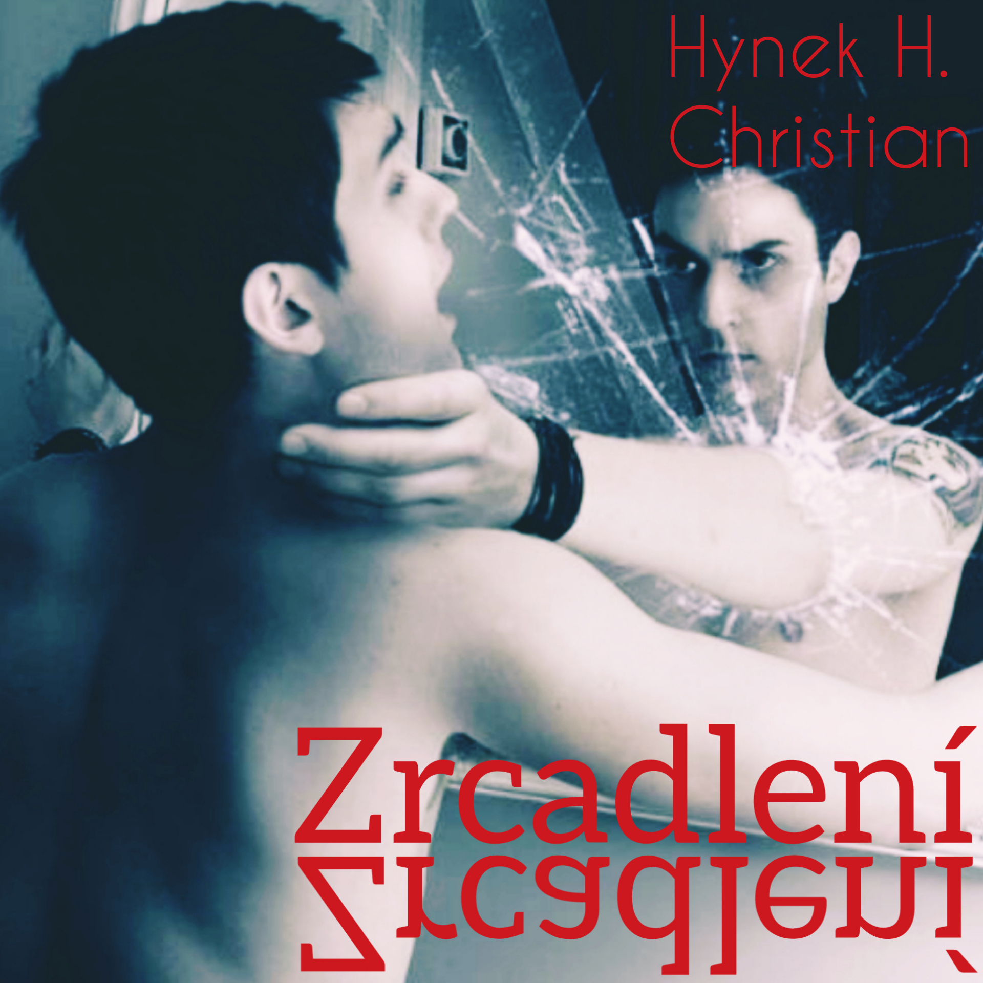 Zrcadlení - Christianův román ve stylu S. Kinga 2010
